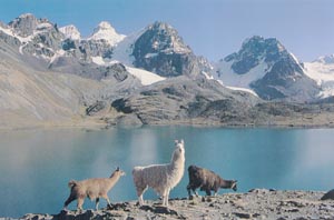 andean landscape